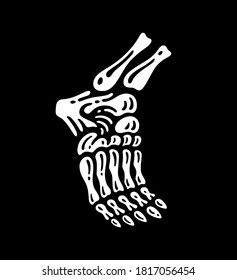 foot bone on dark background. Vector Illustration.