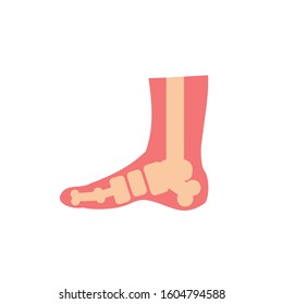 foot bones icon design, Human body person people health anatomy biology and science theme Vector illustration