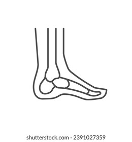 Foot bones line outline icon