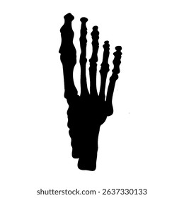 foot bones silhouette illustration silhouette science biology.
