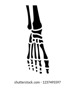 Foot bones solid icon design
