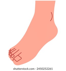Foot cute on a white background, vector illustration.