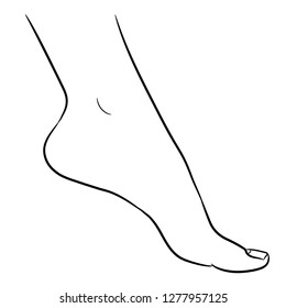 foot front view drawing