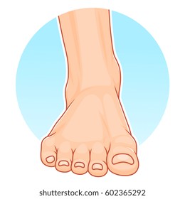 Foot front view illustration