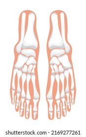 Foot Icon Of Radiography And X-ray Concept Vector On Blue Background. Leg Trauma, Pain