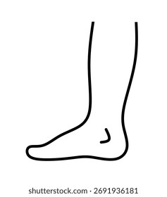 Vector del icono del pie en el fondo blanco