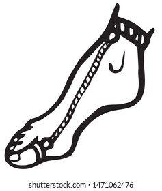 Foot jewelry, consisting of rings, chain and bracelet