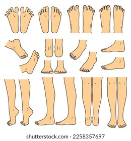 foot and leg, knee and toe, vector file set