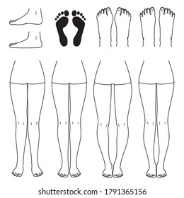 foot and leg, knock knees, bow legs and normal legs, flat foot, bunion, and normal foot, vector file set