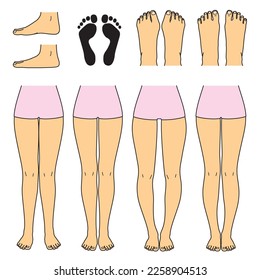 foot and leg, knock knees, bow legs and normal legs, flat foot, bunion, and normal foot, file set