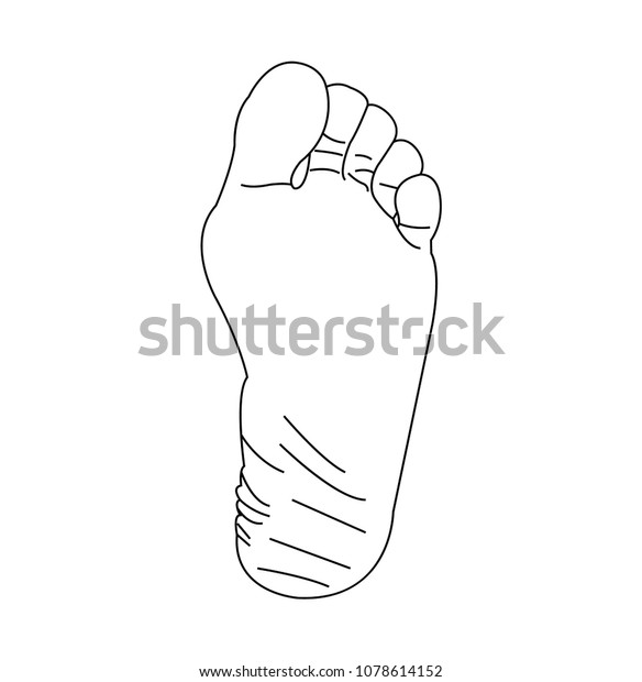 Foot Line Art Stock Vector (Royalty Free) 1078614152 | Shutterstock