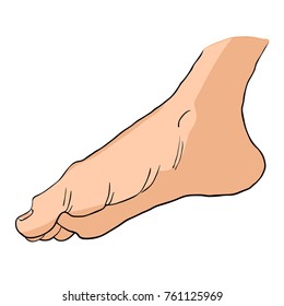 foot male bottom out side vector illustration