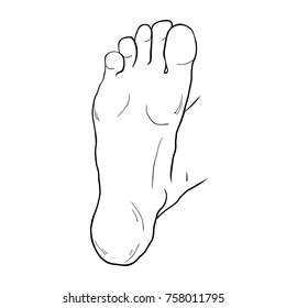the foot male up sole vector illustration