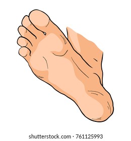 the foot male up sole vector illustration