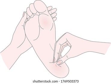 Foot massage. Bunion. Hallux valgus or bunion formation of the foot. Female hands massage the foot. Kneading and prevention of diseases of the bones of the thumb. Vector illustration