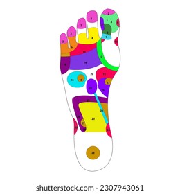 foot massage, foot reflexology for health