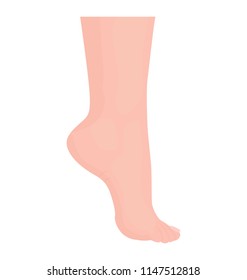 
Foot on toes offering icon for ankle 
