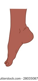 Foot Pointing Toe Stretch Anatomy Line