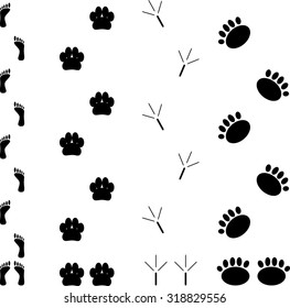 Foot print set. Step silhouette animal, track and trace, vector graphic illustration