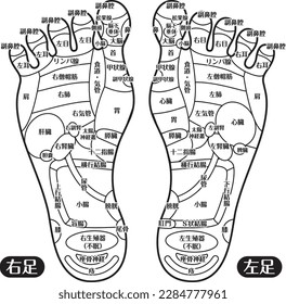 Foot reflex area _B (with letters)

There is a description of the name of the organ in Japanese.
Heart, liver, stomach, thyroid, small intestine, lymph gland, shoulder, knee, esophagus, etc.