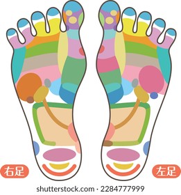 foot reflex area
Foot pot illustration _B (color without letters)

There is a description of "right foot" and "left foot" in Japanese

