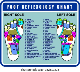FOOT REFLEXOLOGY CHART