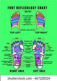 foot reflexology chart