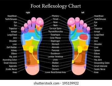 Foot Reflexology Chart With Accurate Description Of The Corresponding Internal Organs And Body Parts. Vector Illustration On Black Background.