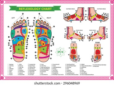 Thai Foot Reflexology Chart