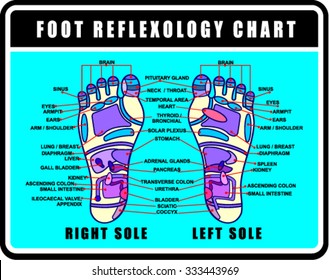 Foot reflexology chart with accurate description of the corresponding internal and body parts
