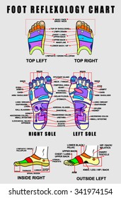 Foot reflexology chart with accurate description of the corresponding internal and body parts