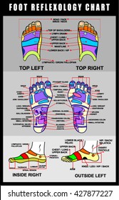 Reflexology Chart Top Of Right Foot
