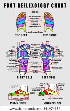 Reflexology Chart Top Of Right Foot