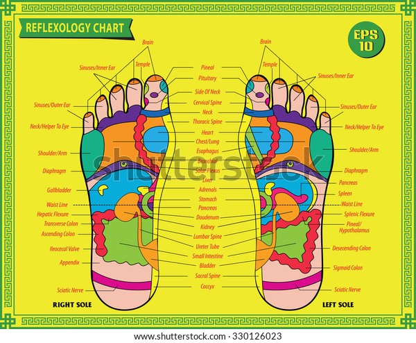 Detailed Reflexology Chart