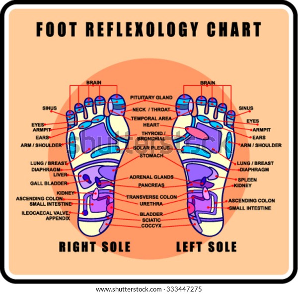 Reflexology Chart Thyroid