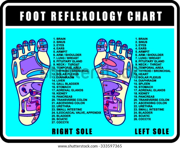 Foot Reflexology Chart With Accurate Description Of The Corresponding