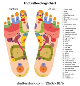Reflexology For Babies Chart