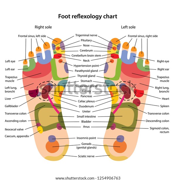 Reflexology Chart Feet