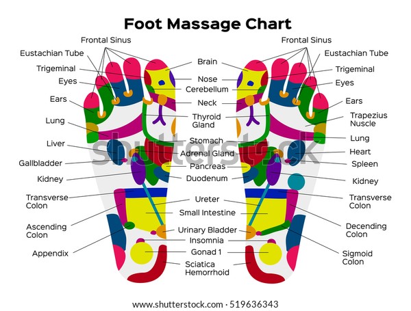 Foot Reflexology Organ Chart