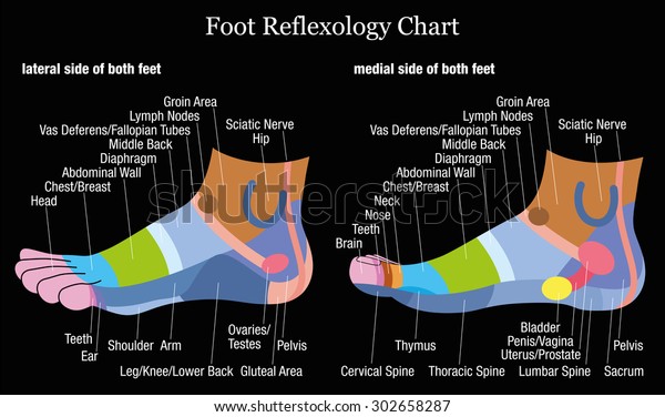 Reflexology Foot Chart Ovaries