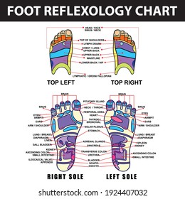 Foot Reflexology Chart, poster and Banner