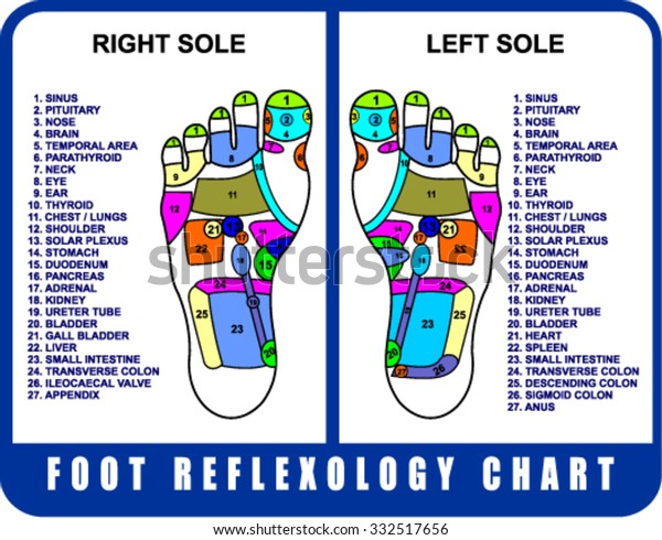 Reflexology Chart Stomach