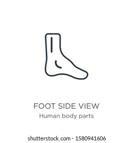 Foot side view icon. Thin linear foot side view outline icon isolated on white background from human body parts collection. Line vector sign, symbol for web and mobile