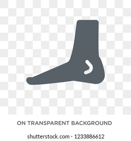 Foot side view icon. Trendy flat vector Foot side view icon on transparent background from Human Body Parts collection. 