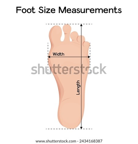 Foot size measurements vector illustration design. Footstep length and width on ruler