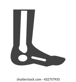 Foot Skeleton