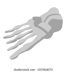 Foot skeleton icon. Isometric of foot skeleton vector icon for web design isolated on white background