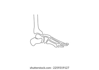 Foot skeleton line art vector illustration