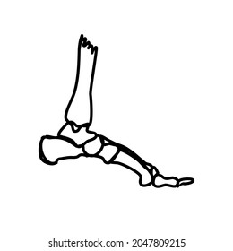 foot skull remain from dead body