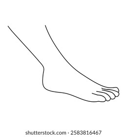 Foot sole single-line art on a white artboard beautifully portrays the simplicity and symmetry of a foot’s sole, using a single fluid line to express its natural form.